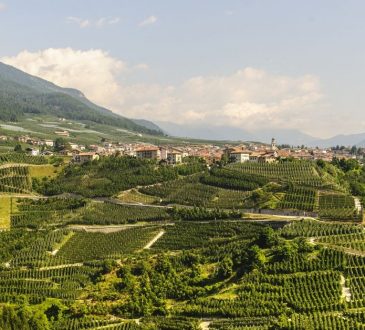 Variazioni colturali: niente obbligo di dichiarazione al Catasto