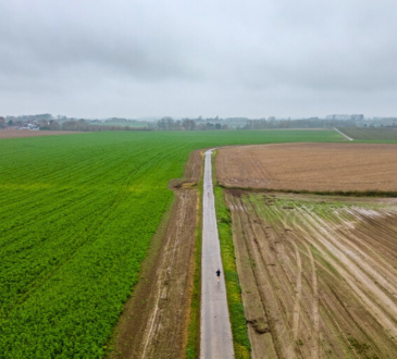 Diritto di Prelazione terreni agricoli: guida definitiva