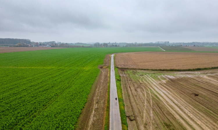 Diritto di Prelazione terreni agricoli: guida definitiva