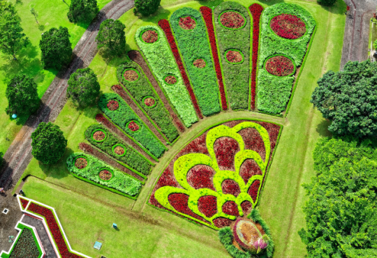 Come diventare garden designer e trasformare la natura in carriera