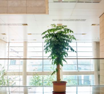 Inquinamento indoor: una sfida per progettisti e tecnici dell’edilizia