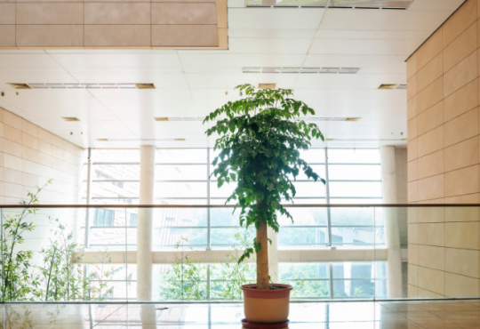 Inquinamento indoor: una sfida per progettisti e tecnici dell’edilizia