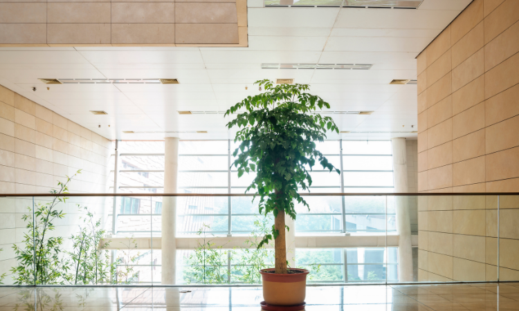 Inquinamento indoor: una sfida per progettisti e tecnici dell’edilizia