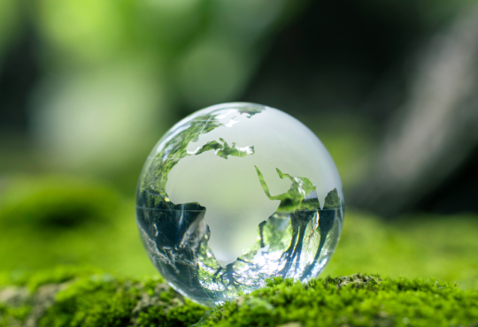 Autorizzazione integrata ambientale: che cos’è e a cosa serve