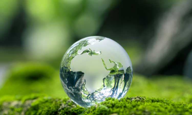 Autorizzazione integrata ambientale: che cos’è e a cosa serve